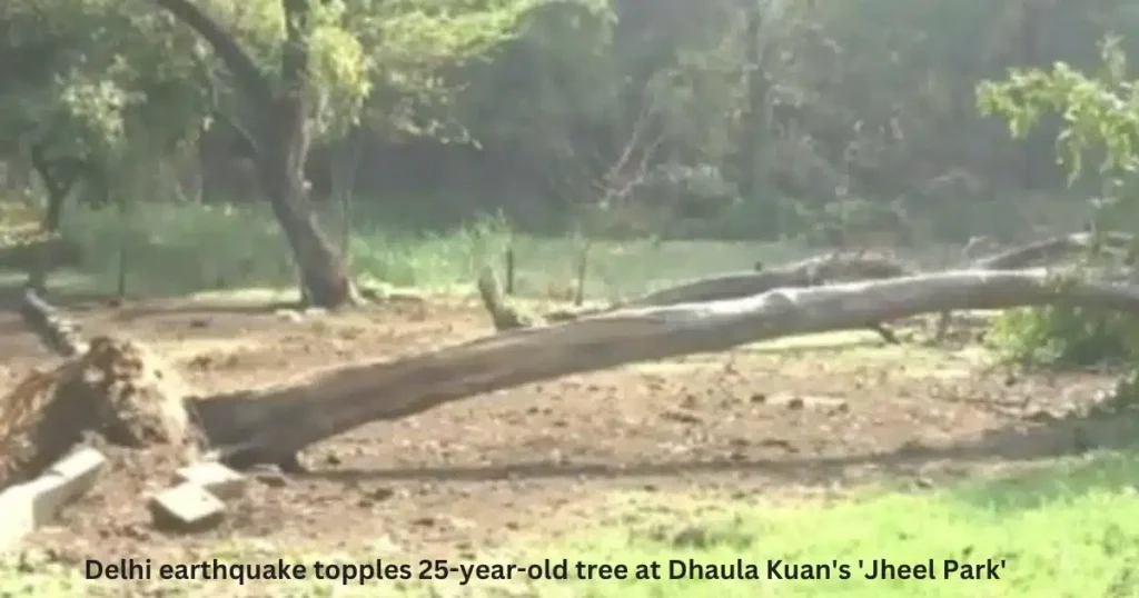 Earthquake in delhi Live Update