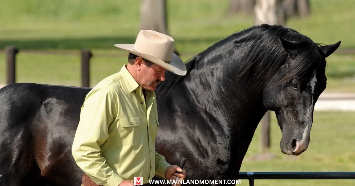 Technologies Precede Horsemanship