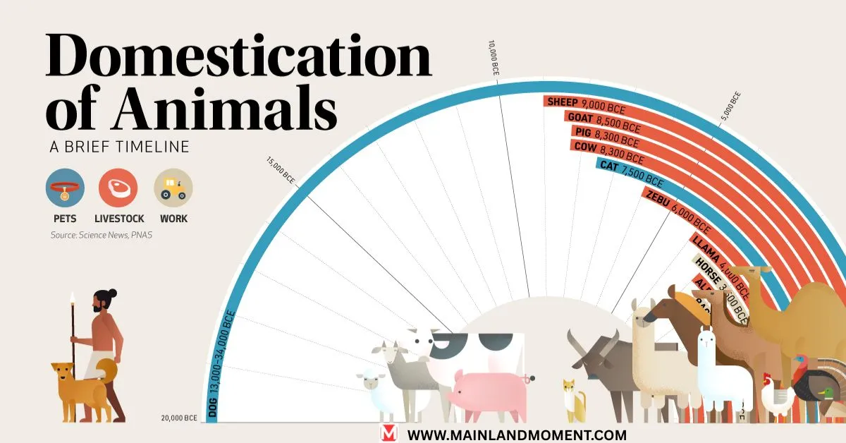 Scientific Insights into Horses’ Early Domestication