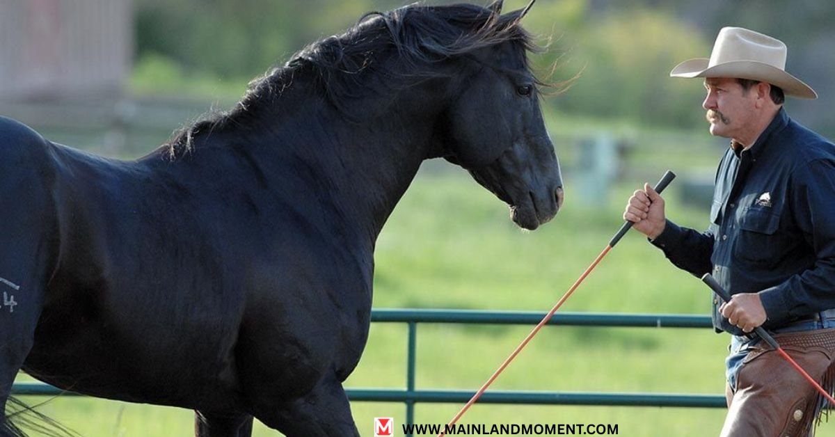Precedes Horsemanship