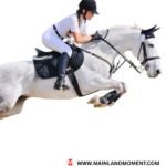 Technologies Precede Horsemanship