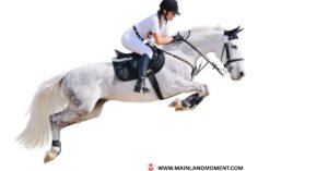 Technologies Precede Horsemanship