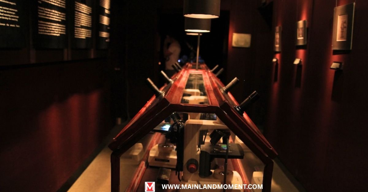 Museum of Jurassic Technology in Los Angeles