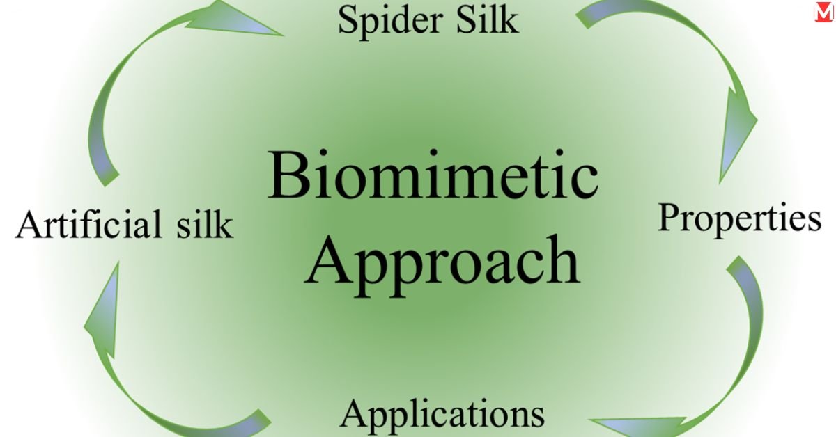 Biomimetic Approaches