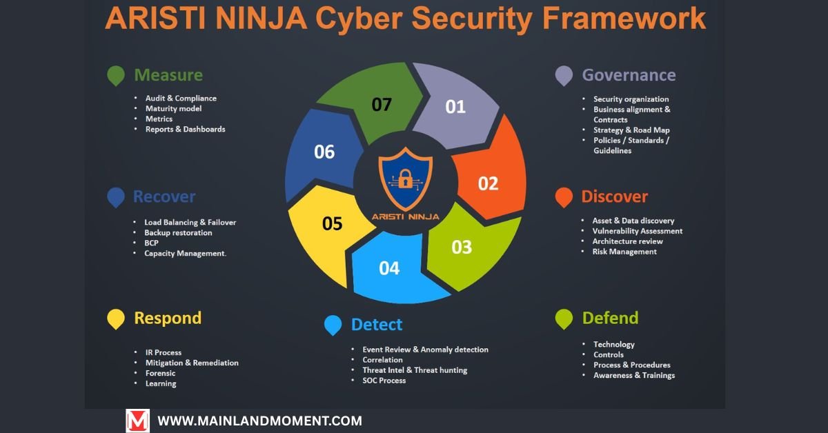 Cyber Ninja