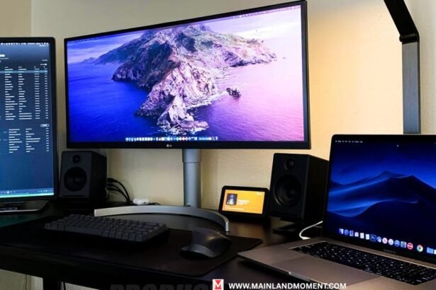 Dual Monitor Setup