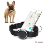 dog gps tracker
