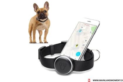 dog gps tracker