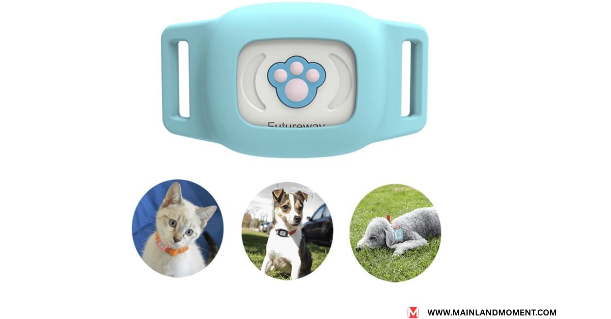 dog gps tracker