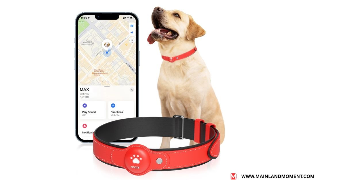 dog gps tracker