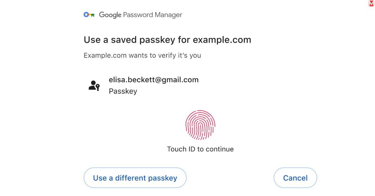 google manager password