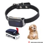 gps dog collars