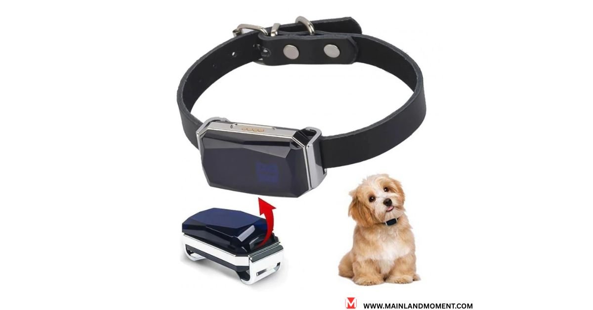 gps dog collars