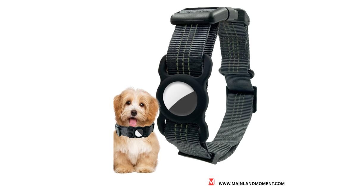 gps dog collars