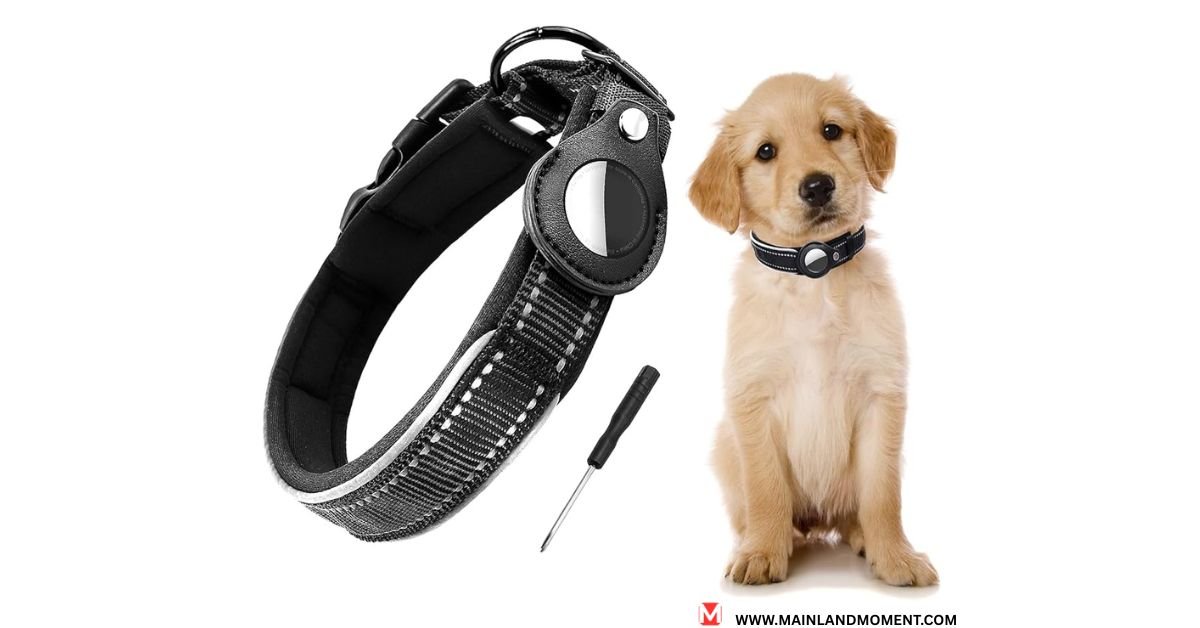 gps dog collars