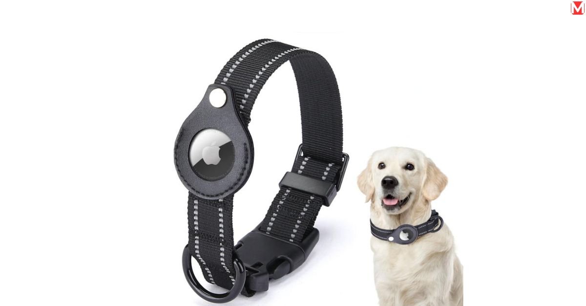 gps dog collars