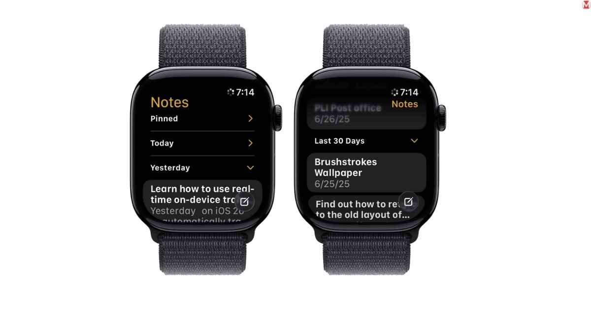 Apple Watch Notes feature view