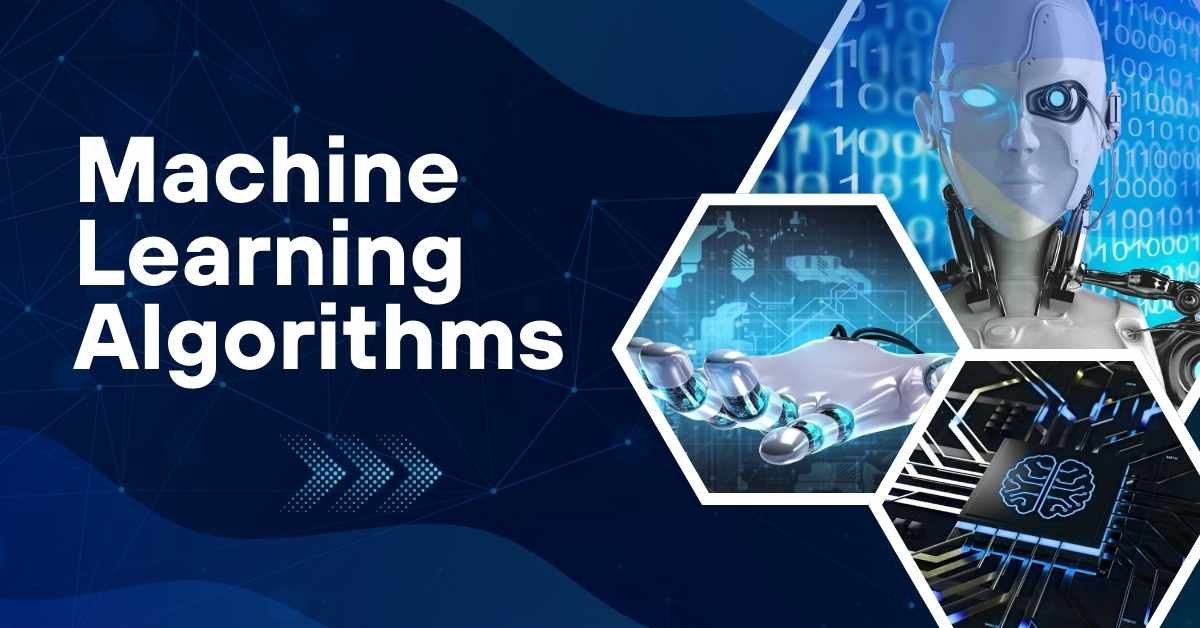 Machine Learning Algorithms In 2026: Types, Uses & Real-World Examples